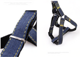 Handmade Denim Collar, Harness & Leash for your Pet - THE GOOD TINGZ