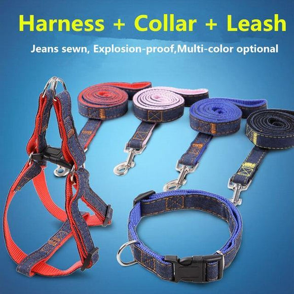 Handmade Denim Collar, Harness & Leash for your Pet - THE GOOD TINGZ