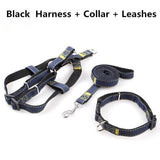Handmade Denim Collar, Harness & Leash for your Pet - THE GOOD TINGZ