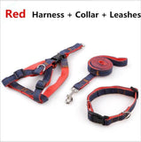 Handmade Denim Collar, Harness & Leash for your Pet - THE GOOD TINGZ