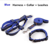 Handmade Denim Collar, Harness & Leash for your Pet - THE GOOD TINGZ