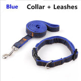 Handmade Denim Collar, Harness & Leash for your Pet - THE GOOD TINGZ