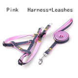 Handmade Denim Collar, Harness & Leash for your Pet - THE GOOD TINGZ