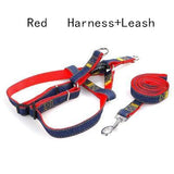 Handmade Denim Collar, Harness & Leash for your Pet - THE GOOD TINGZ